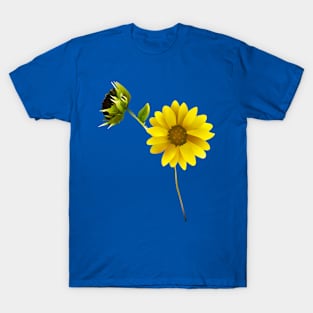 Sunflower Old and New T-Shirt